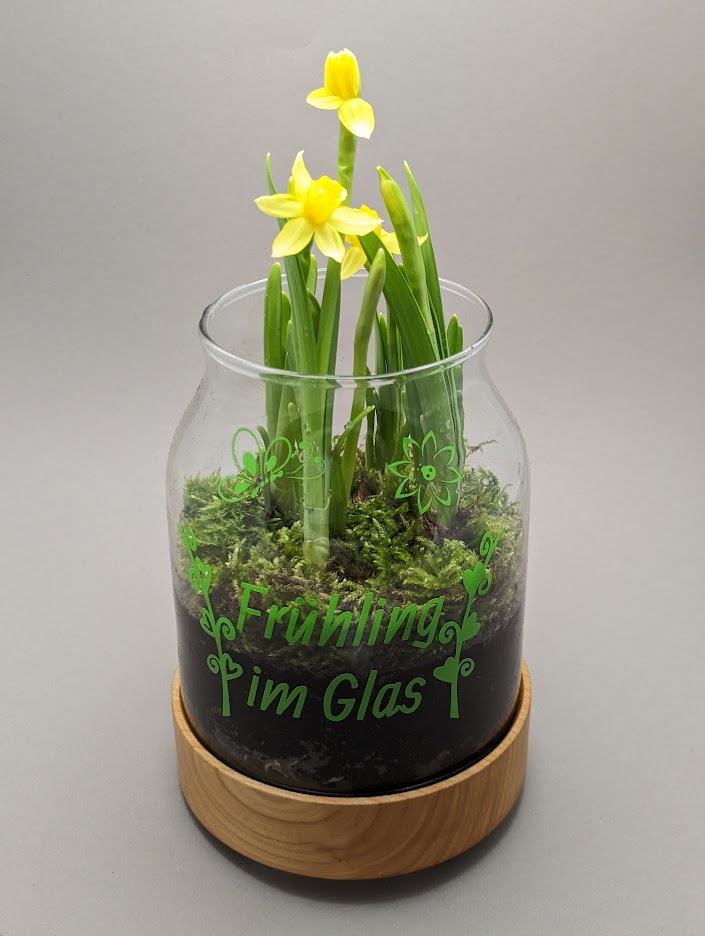 PXL_20230326_125006902